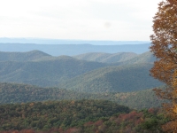Shenandoah Ridges